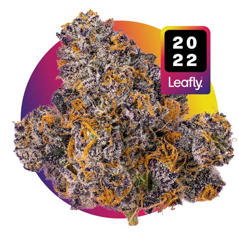 ysl strain|leafly strains.